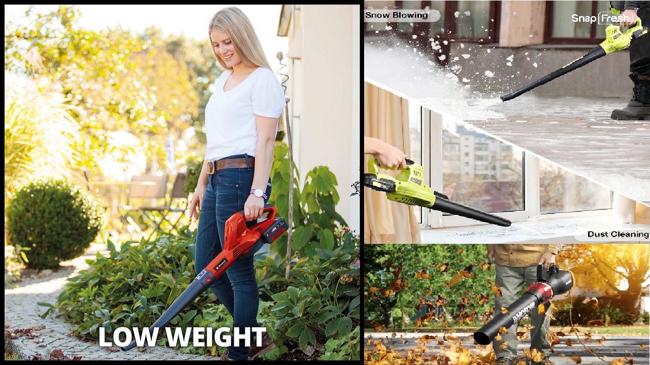 Brands-to-Consider-When-Buying-a-20V-Cordless-Leaf-Blower-2-1