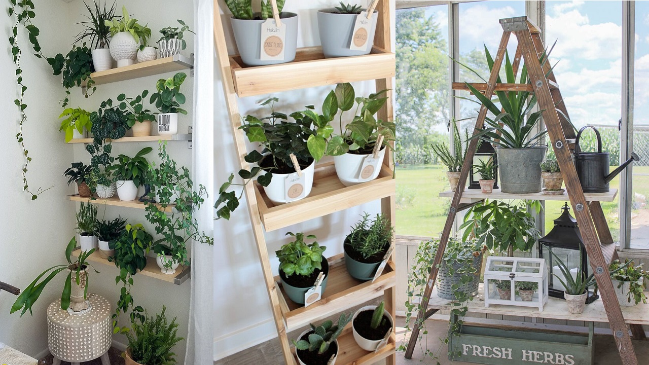 Wooden Plant Stand Idea for Your Home Decor